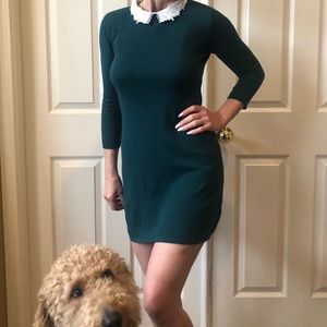 🌻Classy Green Collared Sweater Dress🌻